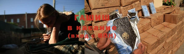 гашик Гусев