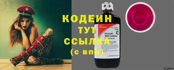 мдпв Горнозаводск