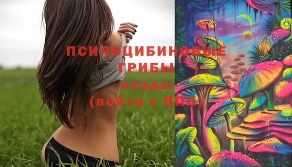 спиды Вяземский