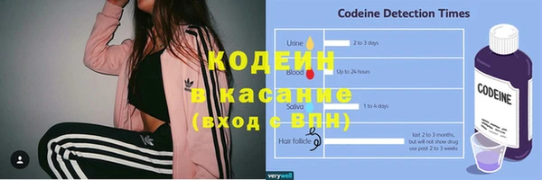 спиды Вяземский