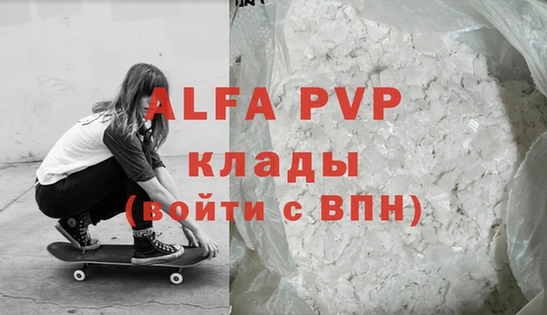 спиды Вяземский