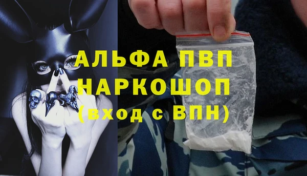 прущие крисы Тайга