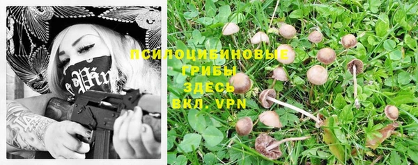 круглые Вязники